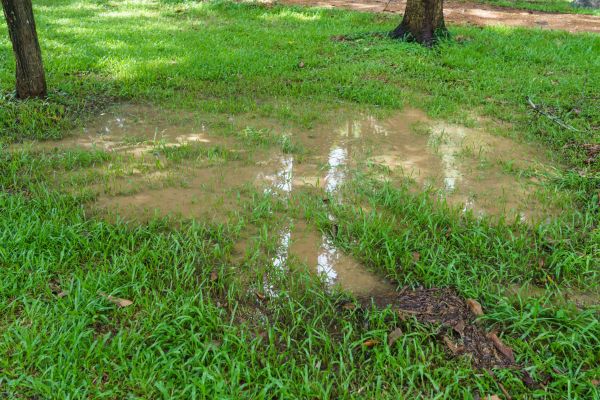 Cost of Storm Water Drainage Service in Sun City