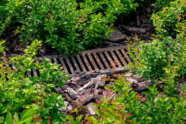 Cost of Underground Drainage Service in Sun City