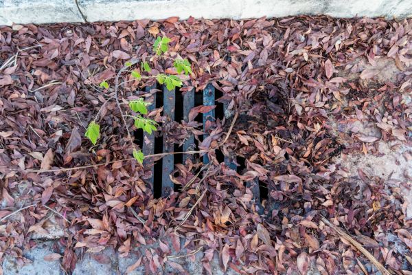 Cost of Yard Drain Unclogging in Sun City