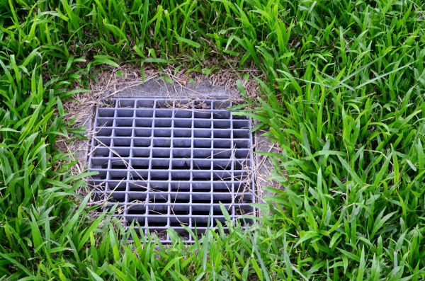 Yard Water Drainage in Sun City
