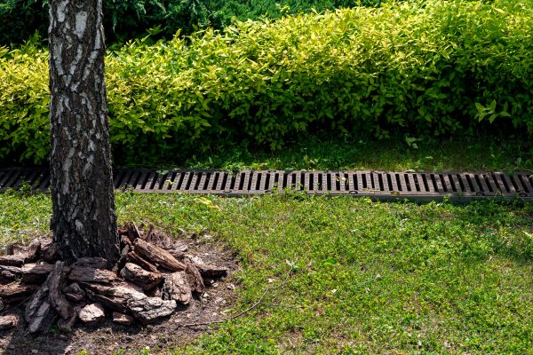 Cost of Wet Yard Drainage in Sun City