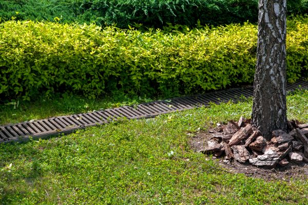 Cost of Residential Landscape Drainage in Sun City