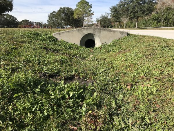 Cost of Swale Drainage Service in Sun City